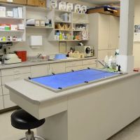 Veterinary Medical Center ico