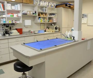 Veterinary Medical Center