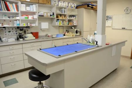 Veterinary Medical Center