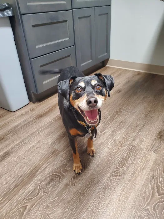 Ohio Valley Animal Care Center 7