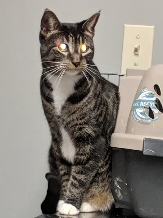 Ohio Valley Animal Care Center 3