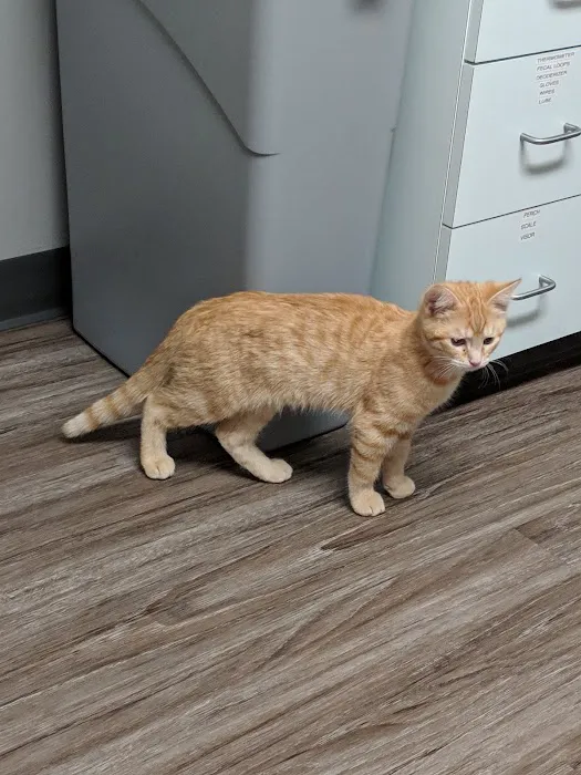 Ohio Valley Animal Care Center 1