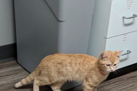 Ohio Valley Animal Care Center