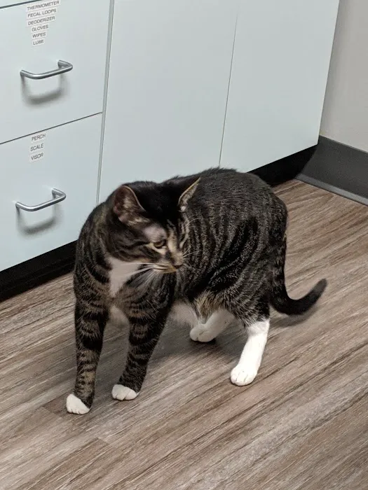 Ohio Valley Animal Care Center 10