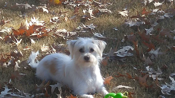 Ohio Valley Animal Care Center 9