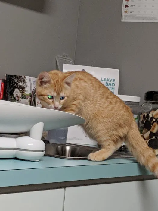Ohio Valley Animal Care Center 5