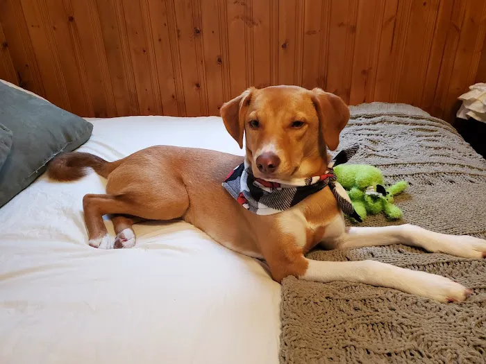 Ohio Valley Animal Care Center 4