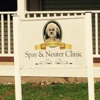 Tiffany Dlesk Spay-Neuter Clinic ico