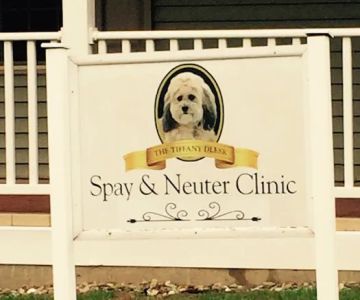 Tiffany Dlesk Spay-Neuter Clinic