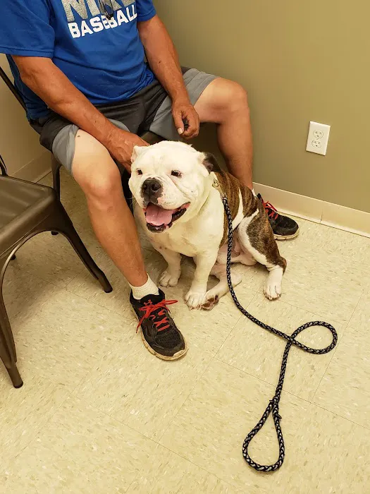 Glendale Animal Hospital Inc 12