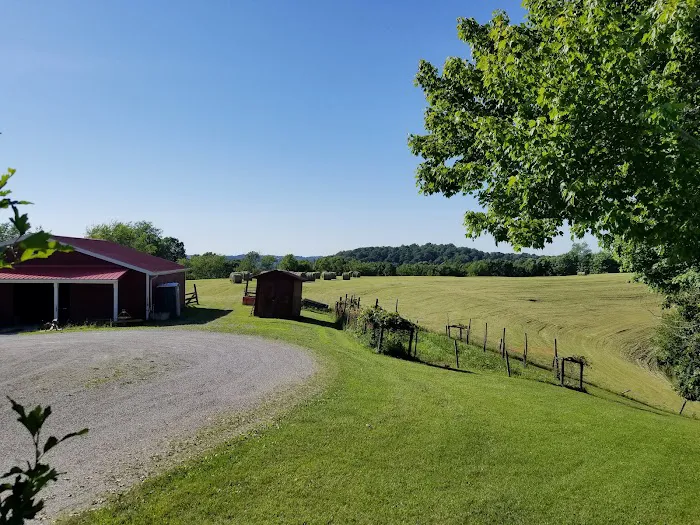 Springhill Animal Clinic 9