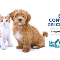 Springhill Animal Clinic ico