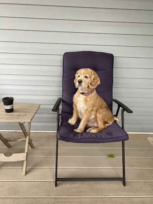 Springhill Animal Clinic 2