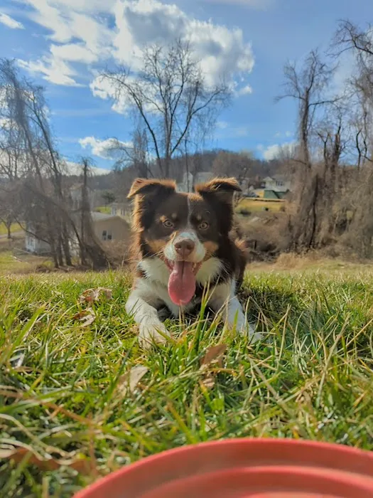 Barnesville Woodfield Veterinary 9