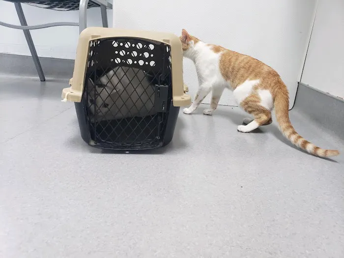 Barnesville Woodfield Veterinary 4