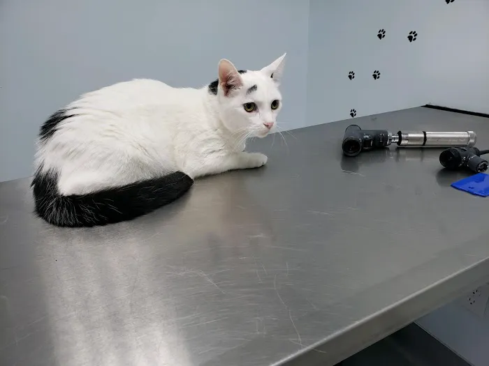 Barnesville Woodfield Veterinary 3