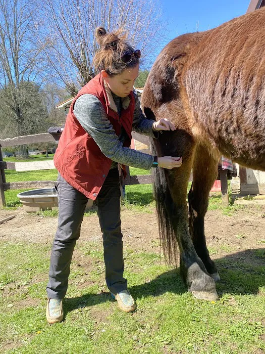 Healing Point Animal Services LLC 7