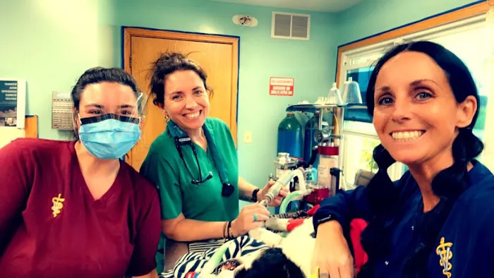 Healing Point Animal Services LLC 1