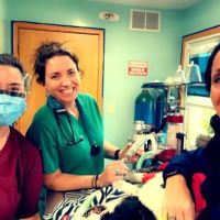 Healing Point Animal Services LLC ico