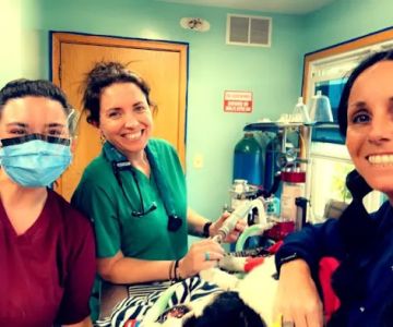 Healing Point Animal Services LLC
