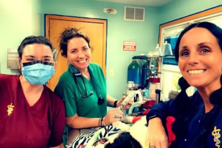 Healing Point Animal Services LLC