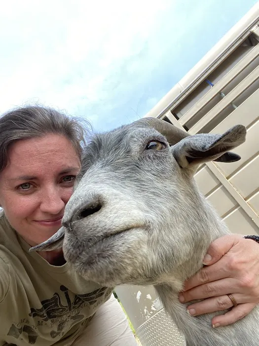 Healing Point Animal Services LLC 2