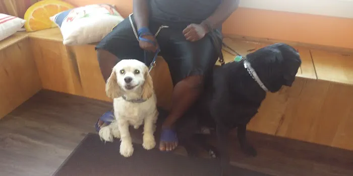 Twin City Veterinary Outpatient Clinic 3