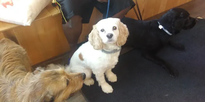 Twin City Veterinary Outpatient Clinic 8