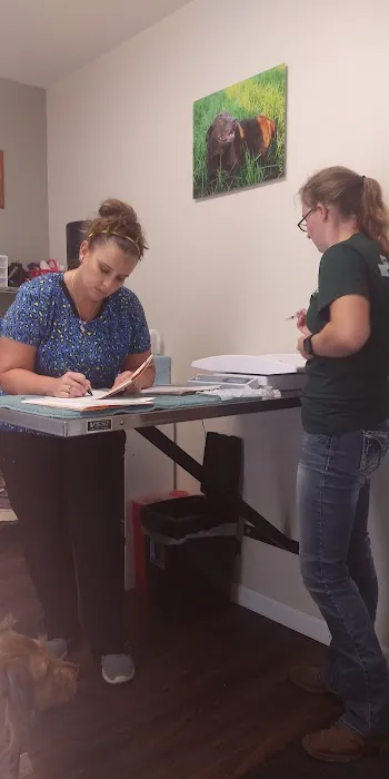 Twin City Veterinary Outpatient Clinic 4