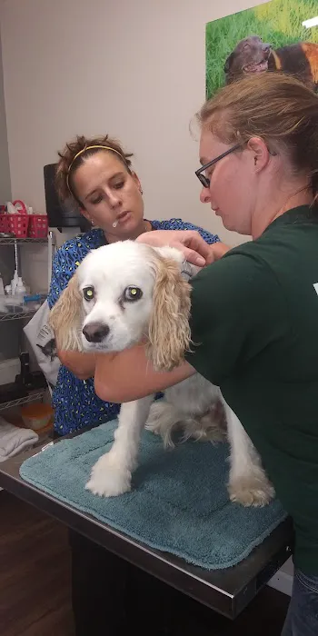 Twin City Veterinary Outpatient Clinic 10