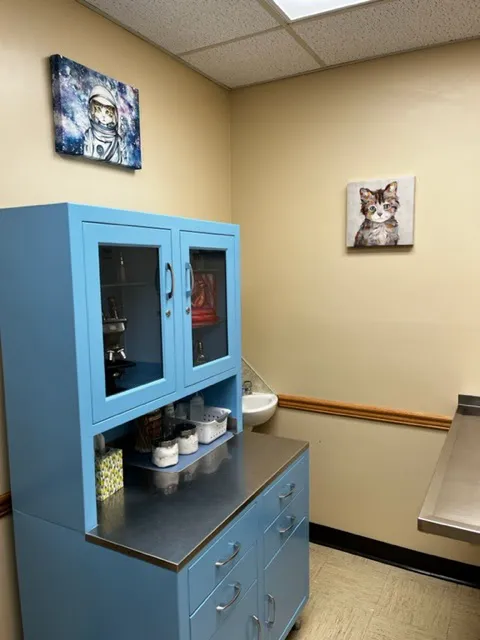 St Kitts Veterinary Clinic 4
