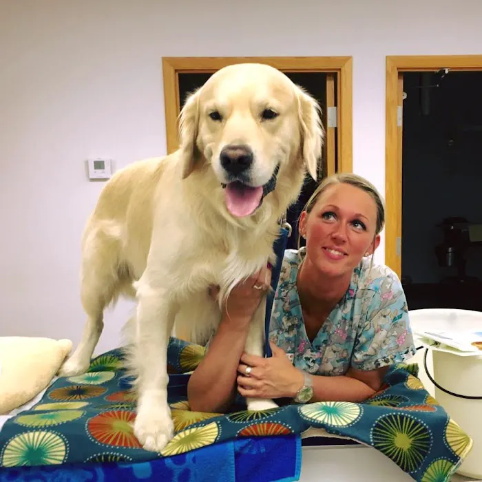 Stark Animal Hospital 12
