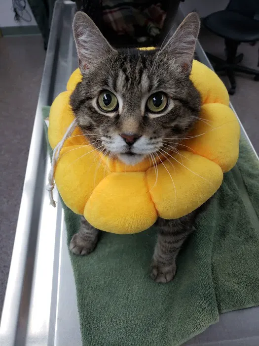 Stark Animal Hospital 12