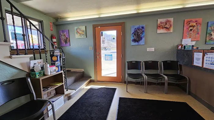 Humble Creatures Veterinary Clinic 1