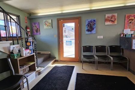 Humble Creatures Veterinary Clinic
