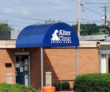 AlterClinic Animal Care
