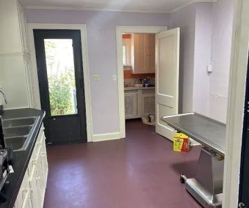 Nose To Tail Veterinary Clinic