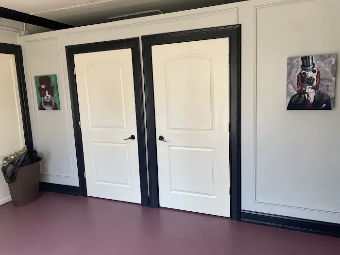 Nose To Tail Veterinary Clinic 2