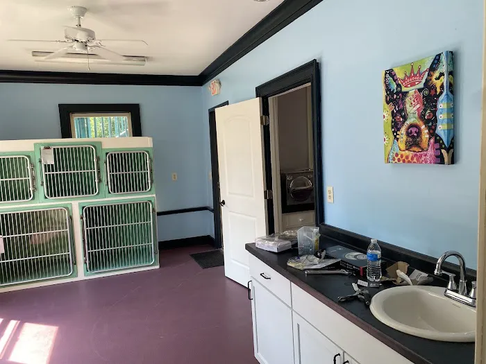 Nose To Tail Veterinary Clinic 5