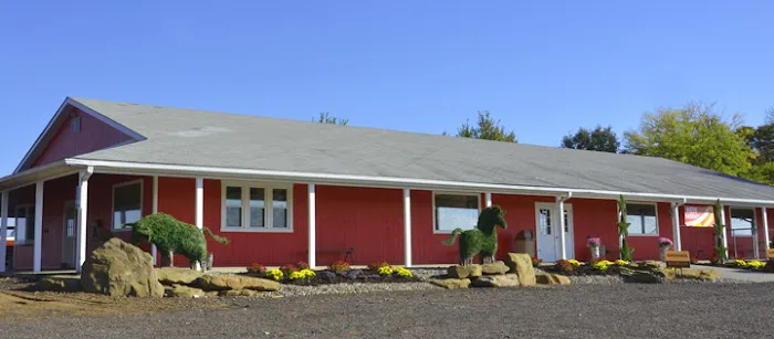 Red Star Veterinary Clinic 12