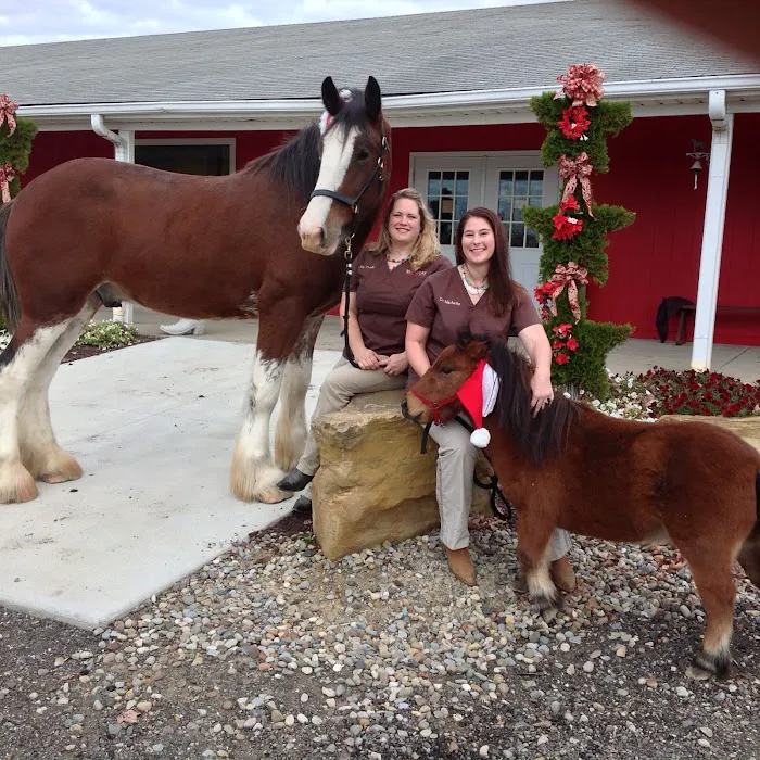 Red Star Veterinary Clinic 12