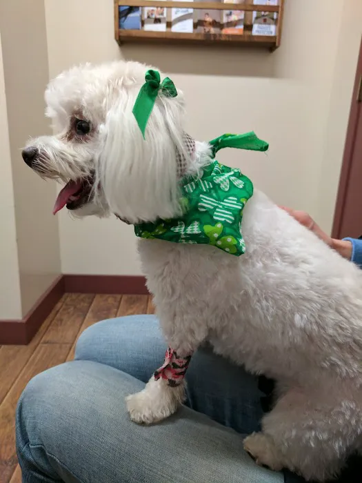 Hometown Veterinary Services 9