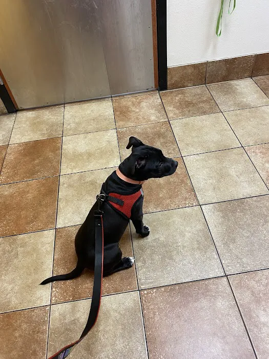 Banfield Pet Hospital 12
