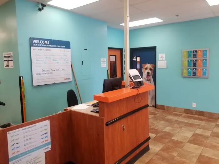Banfield Pet Hospital 12
