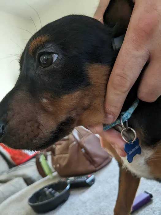 Banfield Pet Hospital 12