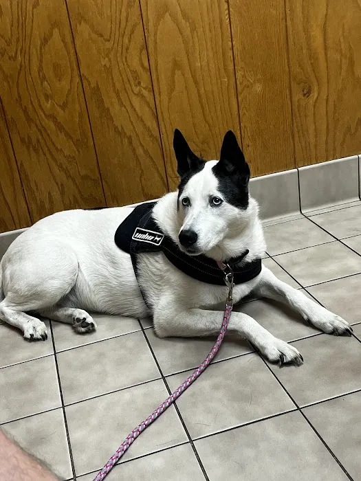 Sagamore Hills Animal Hospital 12