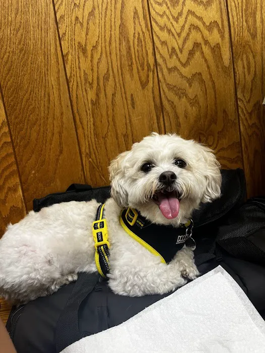 Sagamore Hills Animal Hospital 12