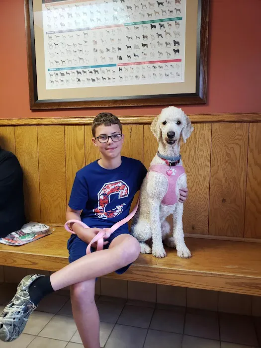 Sagamore Hills Animal Hospital 12