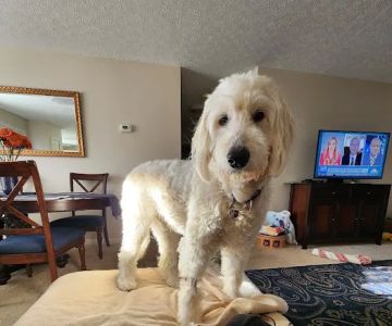 Sagamore Hills Animal Hospital