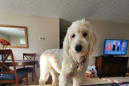 Sagamore Hills Animal Hospital